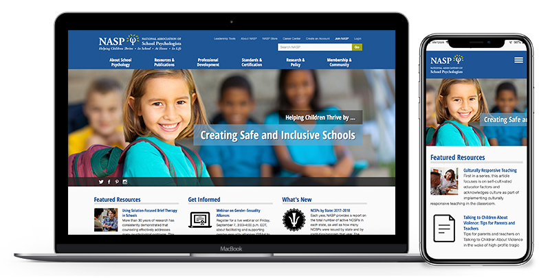 portfolio-screenshot-nasp-19 portfolio-screenshot-nasp-19